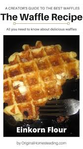 Excellent Waffles Are A Must In 2020 Waffles Real Food Recipes Waffle Recipe Healthy