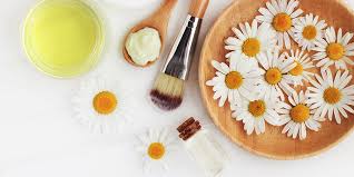 We did not find results for: Top 12 Brands Ranges For Vegan Beauty Hair Salon Services