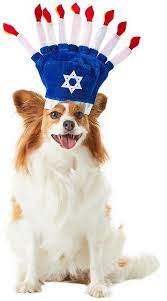 Buy Rubie S Costume Company Menorah Dog Hat Small Medium At Chewy Com Free Shipping And The Best Customer Service Dog Hat Tiny Dogs Your Dog