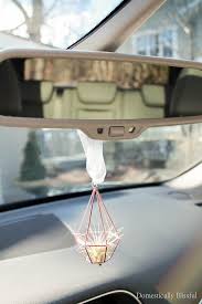 It was originally written as a way to use a web camera as a mirror in an office cubical. Air Plant Rear View Mirror Decor Domestically Blissful