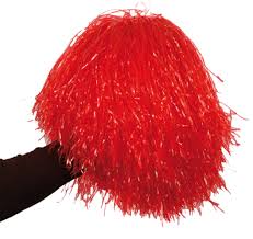 Afbeeldingsresultaat voor afbeelding kleuren pompon