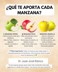 Doctor Juan José Ramos | 🍏 **¡La Manzana, tu Aliada de Salud!** 🍎 ¿Sabías que comer manzanas puede transformar tu bienestar? Estas deliciosas frutas no solo son... | Instagram