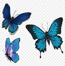 The nine butterfly patterns in this book are designed to show off both sides of the butterfly. Comm Group Of Butterflies Png Free Transparent Png Clipart Images Download