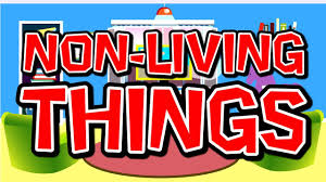 Your _____ is / are beautiful! Non Living Things Science Song For Kids Elementary Life Science Jack Hartmann Youtube
