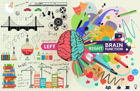 The Left Brain Vs Right Brain Theory Is Based On The Fact The Brain S Two Hemispheres Function Differently It Refers To Pe Art Matters Right Brain Visual Art