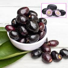 Image result for Syzygium cumini
