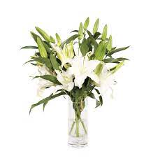 Lilies In Vase Flower Lily Vase Flower Arrangements Vase Glass Vase