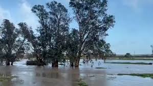 Today's perth news, live updates & all the latest breaking news stories from 7news. Wa News 9news Latest Updates And Breaking Headlines Western Australia