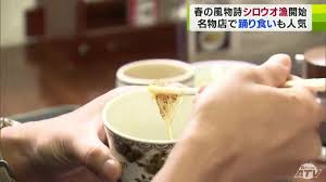 シロウオの踊り食いに「申し訳ない感じ」でも味は…「シコシコ感最高！」 爛漫の春が川に シロウオ漁はじまる | 青森のニュース│ATV  NEWS│青森テレビ (1ページ)