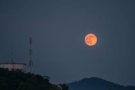 People watch as the full 'super flower blood moon' rises over bondi beach in sydney on 26 may guardian australia's picture editor explains how to photograph the june strawberry supermoon. 9nre5dc2wl5cvm