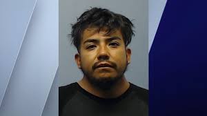 Man charged after driver leaves scene of fatal car vs. pedestrian crash in  Wheaton, victim identified