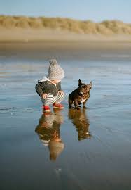 Black Iced Coffee Pearls Animals Pets Cute Animals