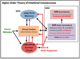 11 rare emotions flow chart