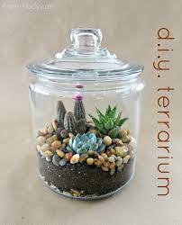 4 Men 1 Lady Diy Terrarium Terrarium Diy Terrarium Diy Cement Planters