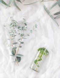 20 drops eucalyptus essential oil. Diy Eucalyptus Shower Spray A Bubbly Life