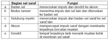 Suatu perusahaan / restoran yang melakukan evaluasi pada karyawannya. Perhatikan Gambar Sel Saraf Berikut Ini Pas