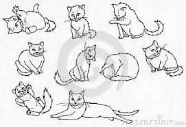Sketches Of Cats In Different Poses Doodles Stock Vector Image Cat Silhouette Tattoos Cat Sketch Cat Drawing