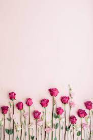 Check spelling or type a new query. Pink Roses On A Pink Background By Ruth Black Rose Background