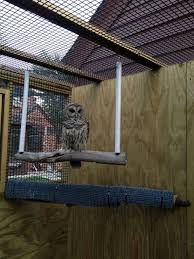 Pin On Zoo Animal Enrichment