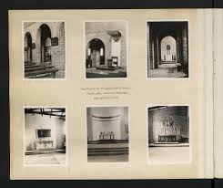 Image result for Brachyachne patentiflora