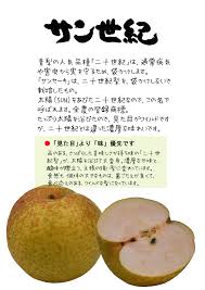サンセーキ 梨