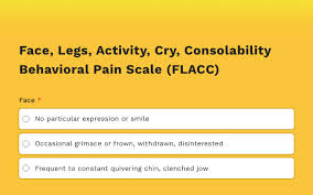 Image result for FLACC Scale