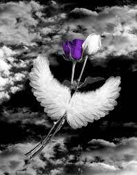 And use brush size to splash the photo's original colors onto what's the working principle of color splash effect? Black White Purple Wall Art Photography Rose By Littlepiephotoart Color Splash Photography Color Splash Purple Wall Art