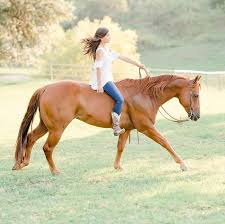 Pin Pa Reiten