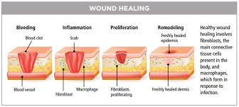 Pin Di Artikel Kesehatan