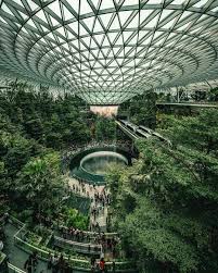 Singapore Changi Airport Indoor Waterfall Singapore Photos Changi