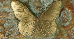 Epingle Sur Butterfly