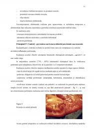 Le plus souvent d'origine infectieuse, la péritonite constitue une urgence médicale. Licenta Ingrijirea Pacientilor Cu Peritonita Acuta Alte Domenii 383395