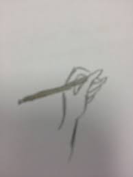 See hand holding pencil stock video clips. Drawing Of Hand Holding Pen Biology Journal 2012