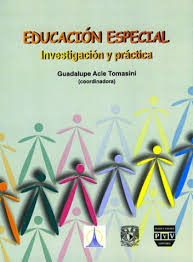 Asesoría, acompañamiento y orientación en la escuela, en el aula y con las familias. Educacion Especial Plaza Y Valdes Editores
