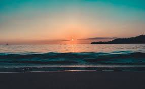 Check spelling or type a new query. 80 000 Best Night Beach Photos 100 Free Download Pexels Stock Photos