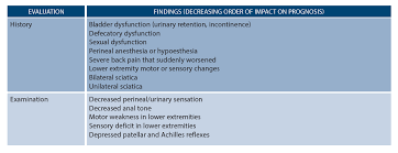 Learn To Spot And Treat Cauda Equina Syndrome Page 4 Of 4 Acep Now Page 4