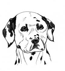 Earn 25 points, on us. 101 Dalmation Coloring Pages Printable Dalmatian In A Sock Coloring Library