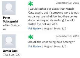 Twenty Five More Hilarious Cats Reviews From Traumatized Critics Tumblr Funny Funny Try Not To Laugh