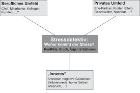 Stress Von Der Entstehung Bis Zu Den Auswirkungen Springerlink
