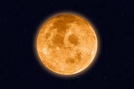 They are known to have excellent structure and. Vollmond Heute Am 14 09 2019 Dunkler Mini Vollmond Prophezeit Er Den Weltuntergang News De