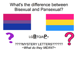 The acronym is long so it can include everyone individually, the shorthand is far more convenient but it lumps a lot of people together under the '+' (some like it, some don't). The Pan Community Lgbt Bi The B And P In The Lgbtqiap