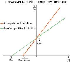 Prism 3 -- Lineweaver-Burk Plots - Faq 1749 - Graphpad