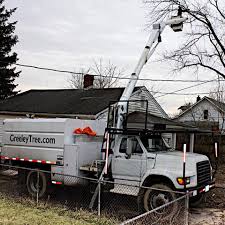 Get a quick, easy and affordable price. 1 Local Tree Service In Va Call 540 435 3396 Call Today Greeley Tree