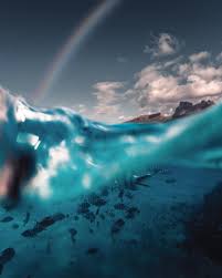 Halfway Underwater By Vagabondiary Fubiz Photography Art Inspiration Mention Fubiz If You Wa Underwater Photography Nature Inspiration Instagram