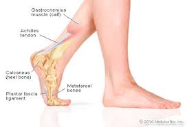 It can cause joint pain, stiffness, and affect how a tendon moves. Leg Picture Image On Medicinenet Com