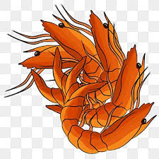 Other sets by this creator. Gambar Air Biologi Haiwan Ternakan Udang Udang Haiwan Kesihatan Png Dan Psd Untuk Muat Turun Percuma Animals Art Tigger