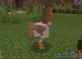 Genetic animals is a mod for 1.16.4+ minecraft forge that is still in beta. Domestic Animals Addon For Mcpe 1 11 0 10