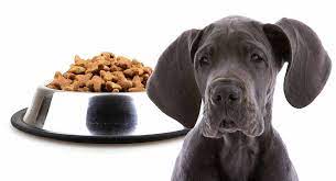 Best dog food for great dane puppies. Feeding A Great Dane Puppy Schedules For Giant Breeds