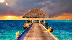 Aici puteti gasii poze amuzante, frumoase,dragute,sentimentale,etc. Imagini De Fundal Pentru Telefon Si Tableta