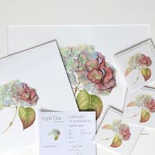 Watercolor Hydrangea Autumn Ingrid Elias Botanical Art Certified Art Giclees In Different Sizes Available On My Website In Botanical Art Art Art Tutorials
